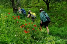 Gastronomic hiking in Italy