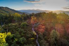 Virginia's Blue Ridge