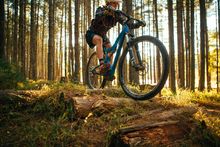 Dody Ridge Mountain Bike Trail Virginia's Blue Ridge