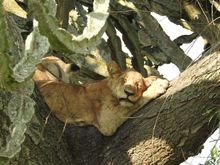 Queen Elizabeth National Park, Uganda