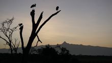 Sunrise over Mount Kenya, Kenya