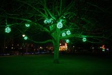 Winchester - Lights in the City
