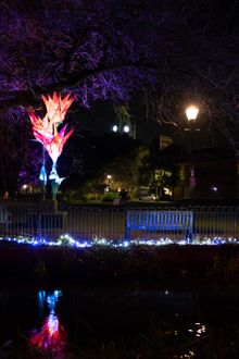 Winchester - Lights in the City