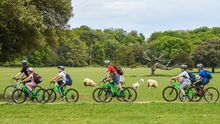 Holkham Hall Estate sheep bike ride, North Norfolk