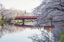 Hirosaki Park