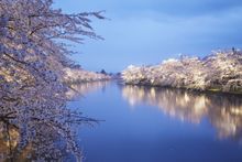 Hirosaki Park
