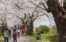 Kitakami Tenshochi Park