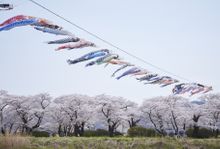 Kitakami Tenshochi Park
