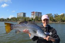 Catching barra in the CBD
