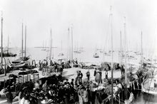 Sponge sale on the dock of the Key West Bight at the foot of Elizabeth Street, c.1890.