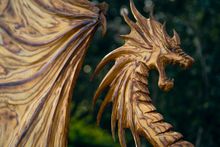 Fantasy Forest Festival 
