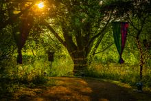 Fantasy Forest Festival 