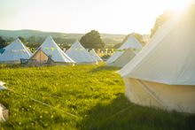Fantasy Forest Festival 