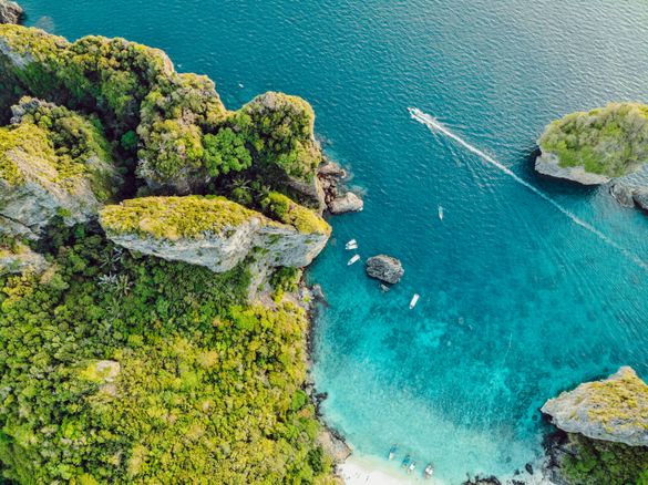 Amazing Thailand welcomes the world back to paradise… 