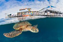 Sunlover Reef Cruises