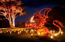 Ignite at Nymans - the Dragon