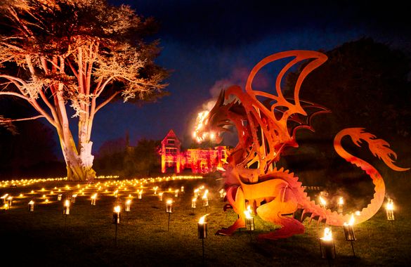 Ignite at Nymans - the Dragon Ignite at Nymans - the Dragon