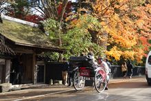 Kakunodate Samurai District Fall