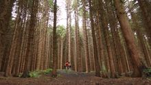 Explore Your Boundaries - Woodland - Visit East Lothian