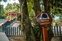 Giant Tortoise Sanctuary Hilton Seychelles Labriz Resort & Spa