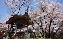 garden-spring3-Grand-Prince-Hotel-New-Takanawa