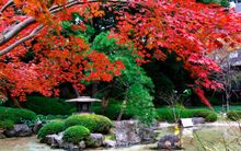 garden-autumn-Grand-Prince-Hotel-New-Takanawa