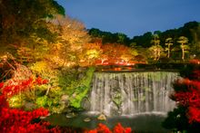 Japanese Garden Autumn Hotel New Otani Tokyo