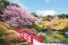 Japanese Garden Spring Hotel New Otani Tokyo
