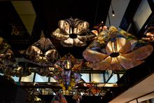 Gowings - Goldberg Aberline Studio Art