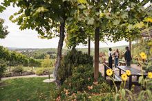 Wein in Stuttgart