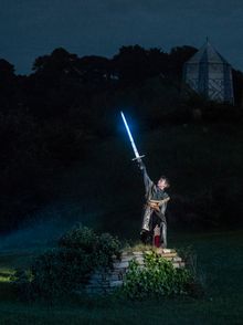Young Arthur draws his sword from a stone