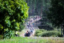 Cyclevasa - forest adventures