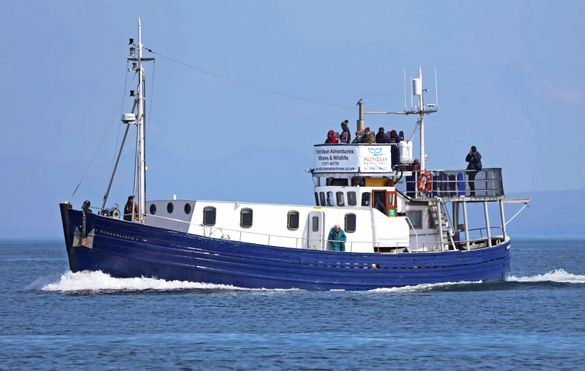 MV Monadhliath on a whale watching cruise