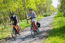 E-Bikes in the National Forest in the Midlands