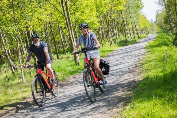 E-Bikes in the National Forest in the Midlands