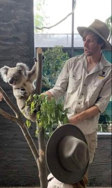 Koalas are coming to the Ewe Nique Hobby Farm in the April school holidays.