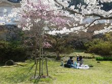 Hanami 