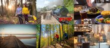 Find Your Freedom in the Forest of Dean
