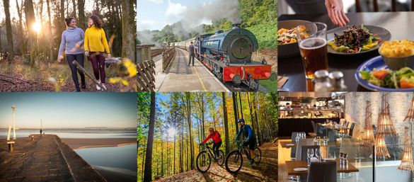 Find Your Freedom in the Forest of Dean Find Your Freedom in the Forest of Dean