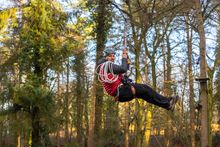 Find Your Freedom in the Forest of Dean