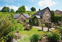 Find Your Freedom in the Forest of Dean