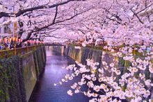 Meguro River