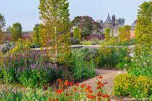 RHS Garden Bridgewater