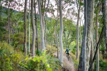 First Turkey MTB Park