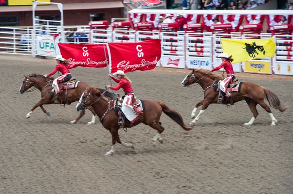 Calgary Stampede