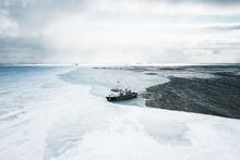 Secret Atlas Kinfish at Ice Edge