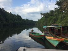 Landing jetty at Cardamom Tented Camp, Cambodia