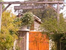 The Old Leura Dairy, Blue Mountains, Australia