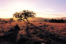 Sunset in the Flinders Ranges, Australia