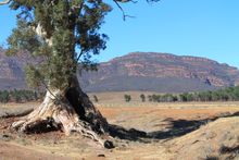 The Flinders Ranges, Australia